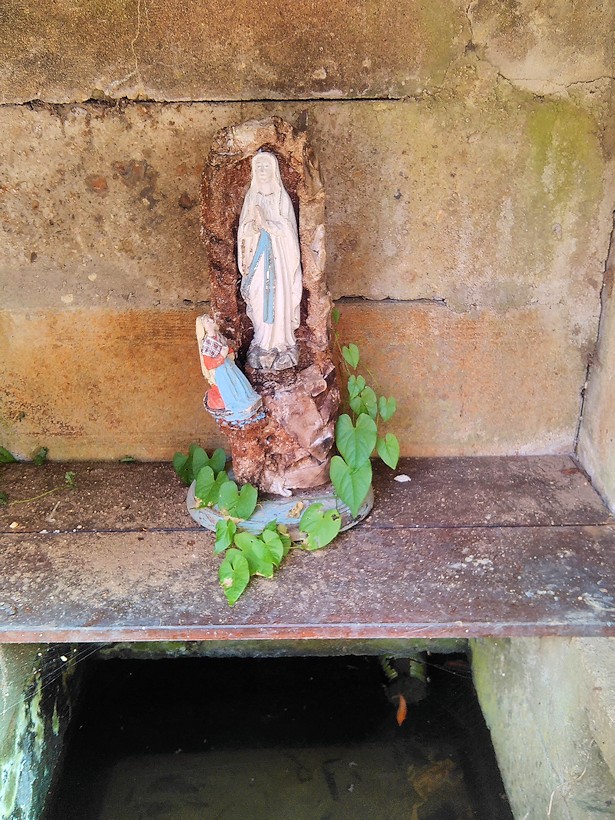 studánka bez jména (10433) - březen 2016