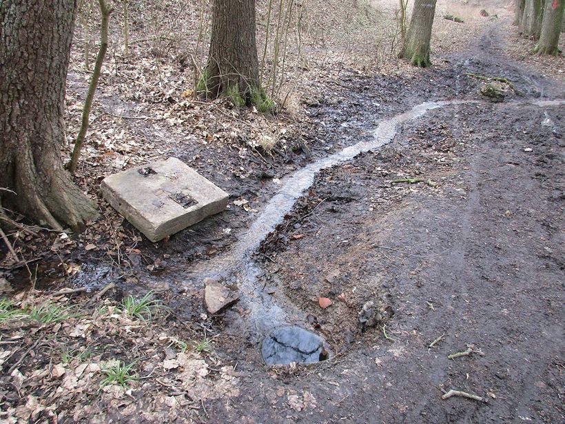 studánka bez jména (10434) - březen 2016