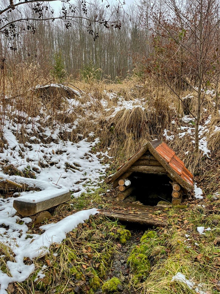studánka Svatého Jiljí (10447) - prosinec 2024
