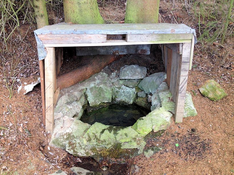 studánka Pod tratí (10448) - březen 2016