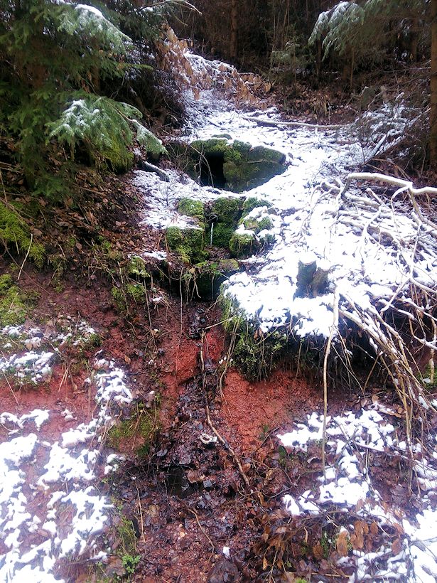 studánka U krmelce (10461) - březen 2016