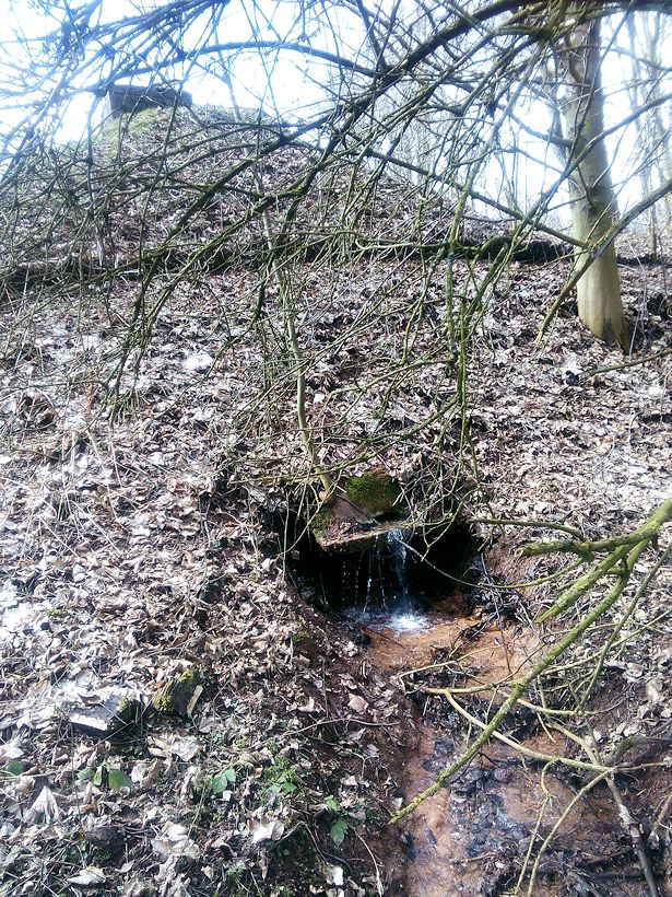 jiný vodní zdroj bez jména (10473) - březen 2016