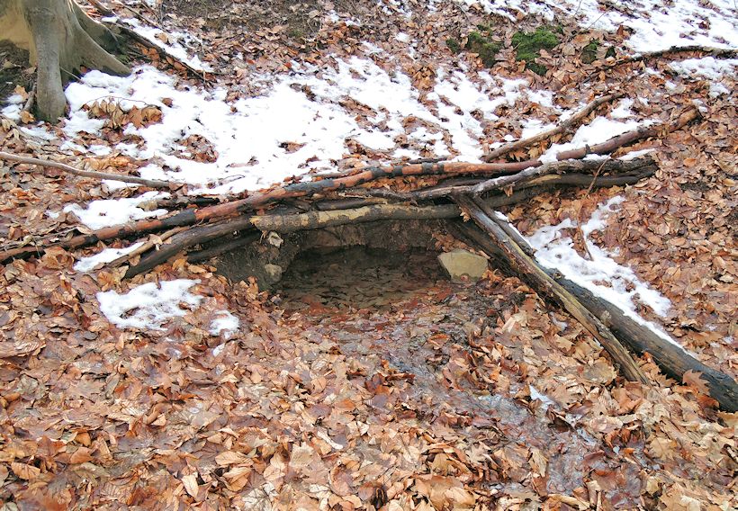 studánka Kobar (10474) - březen 2016