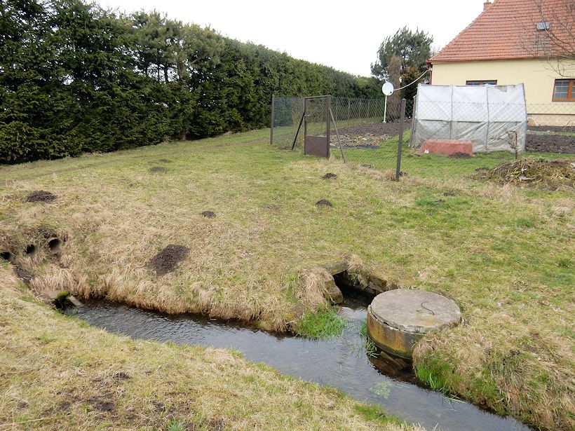 studánka V Staroměstské ulici (10481) - březen 2016