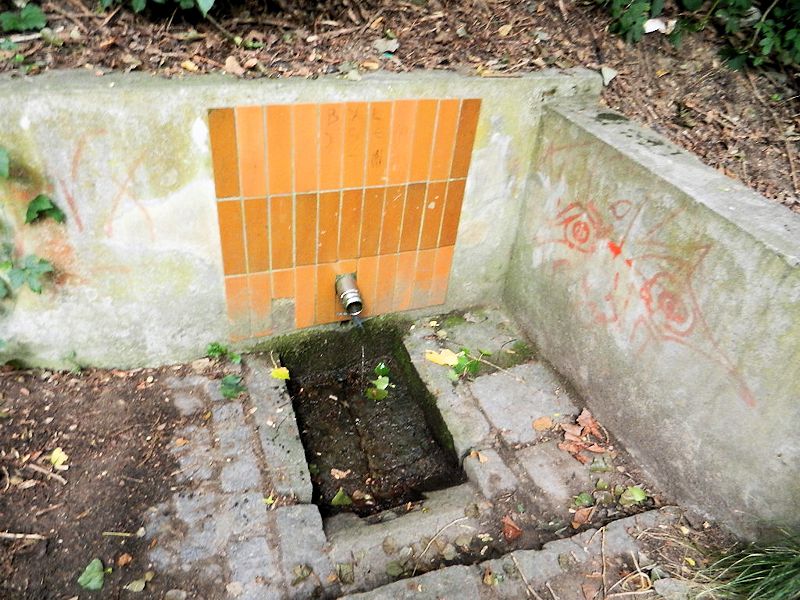 Kachličková studánka (10483) - březen 2016