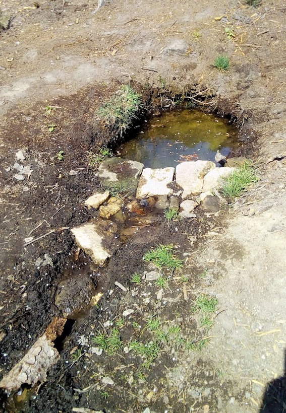 studánka Klářina (10484) - datum neznámé