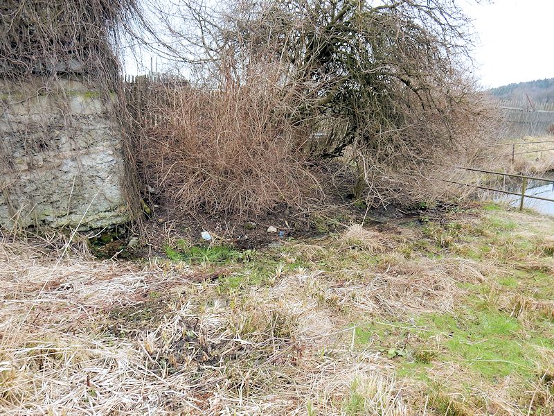 pramen Nad rybníčkem (10493) - březen 2016