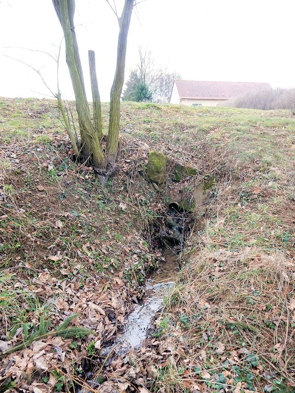 studánka Za Lachmanem (10498) - březen 2016
