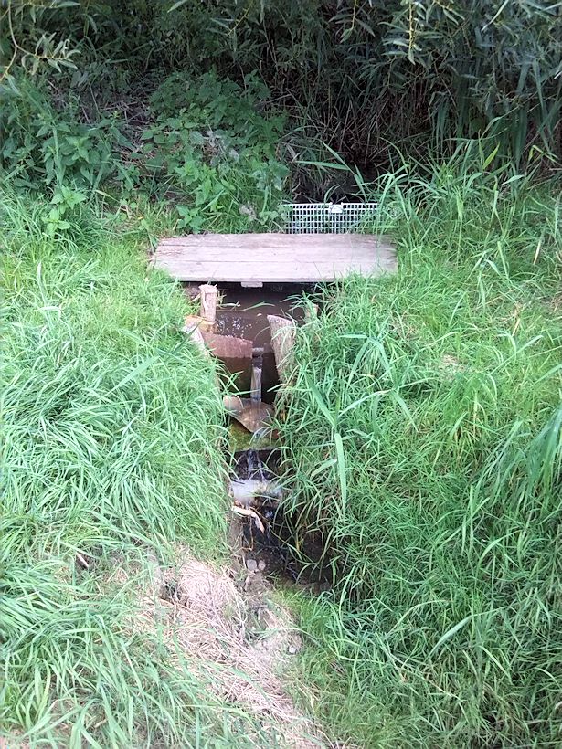 studánka Ve Vlkovském (9004) - srpen 2014