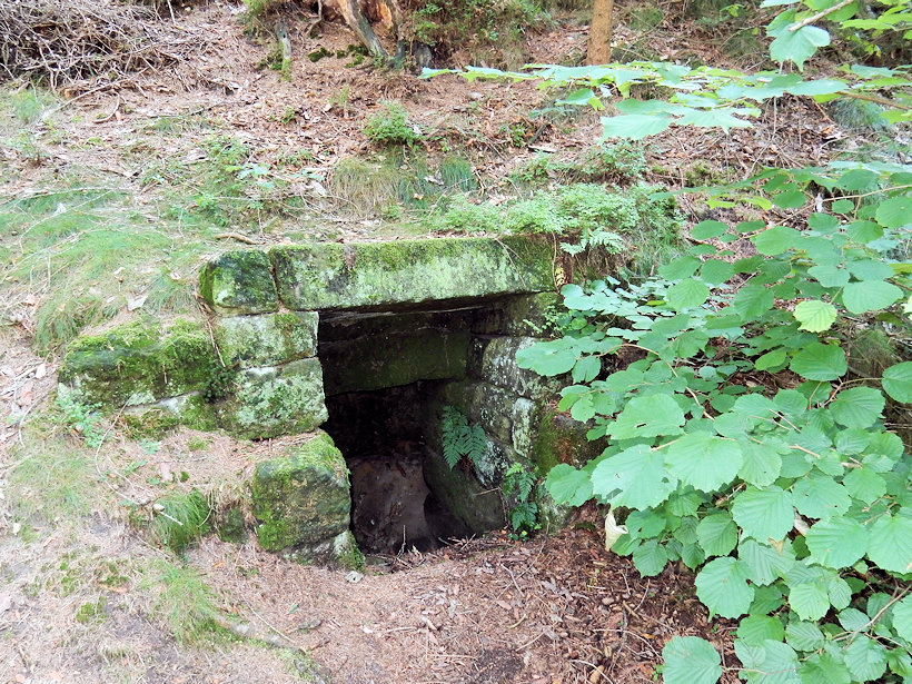 studánka Pod hradiskem (9006) - srpen 2014