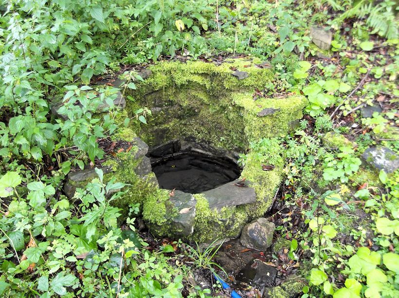studánka U Chaloupky (9019) - srpen 2014