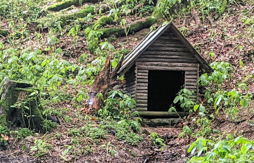 studánka Čabajovka (9028) - srpen 2021