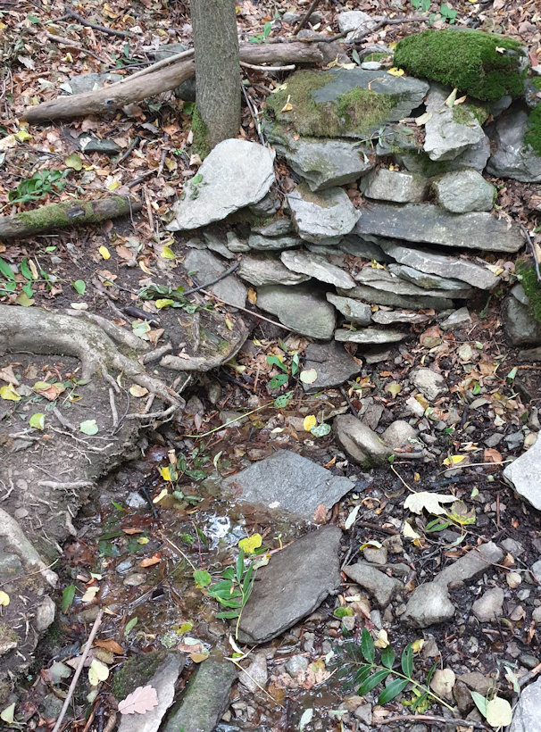 studánka Pod Výřími skálami (9029) - říjen 2020