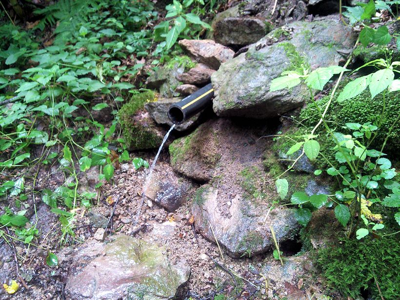 studánka Pod Výří skálou (9030) - srpen 2014