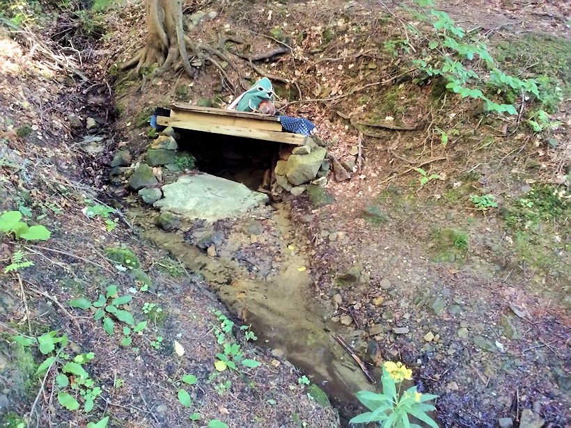 studánka Pod Čubovým kopcem (9034) - srpen 2014