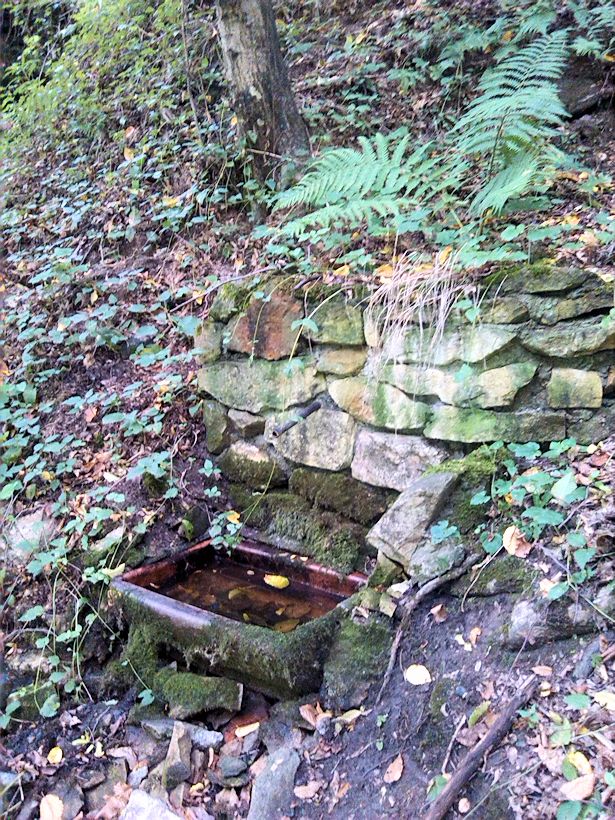 studánka V Rohlese (9038) - září 2014