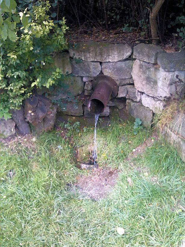 studánka Železná  (9039) - září 2014