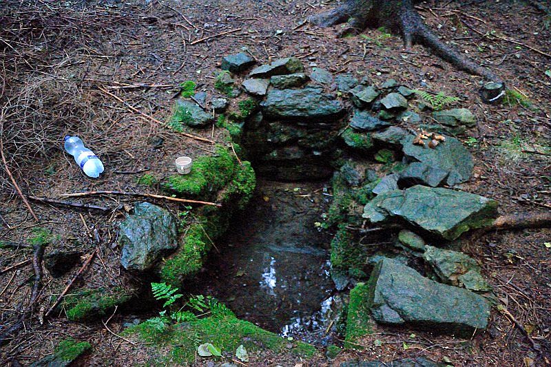 studánka Nad Ujčínem (9062) - září 2014