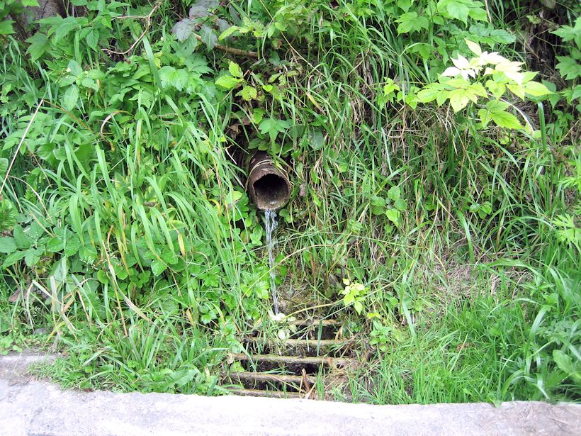 studánka Za díly (9064) - září 2014