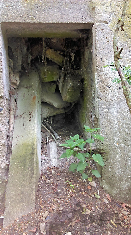 studánka U Drtiče (9068) - květen 2020