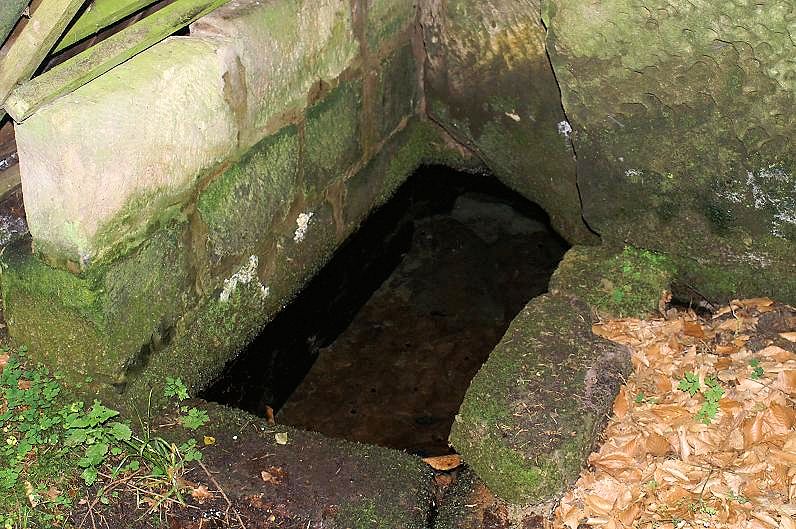 studánka Musilka (9069) - září 2014