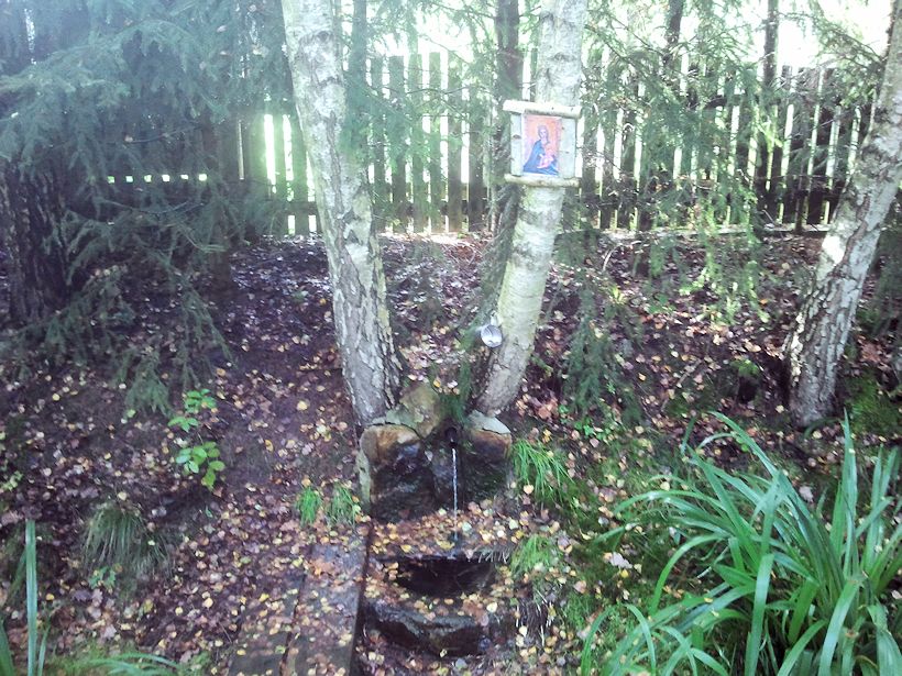 studánka Plachtín (9085) - září 2014