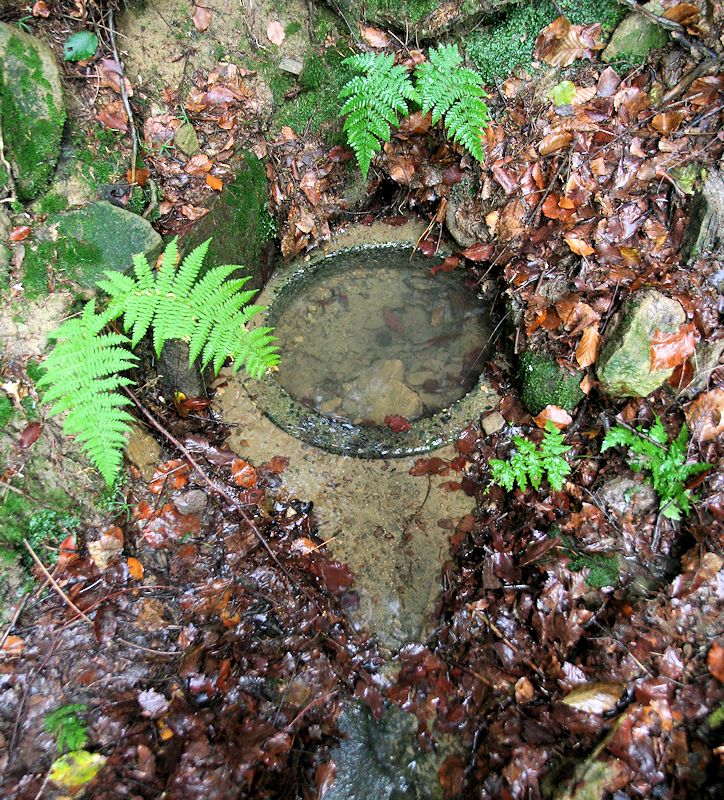 studánka Okrúžek (9153) - říjen 2014