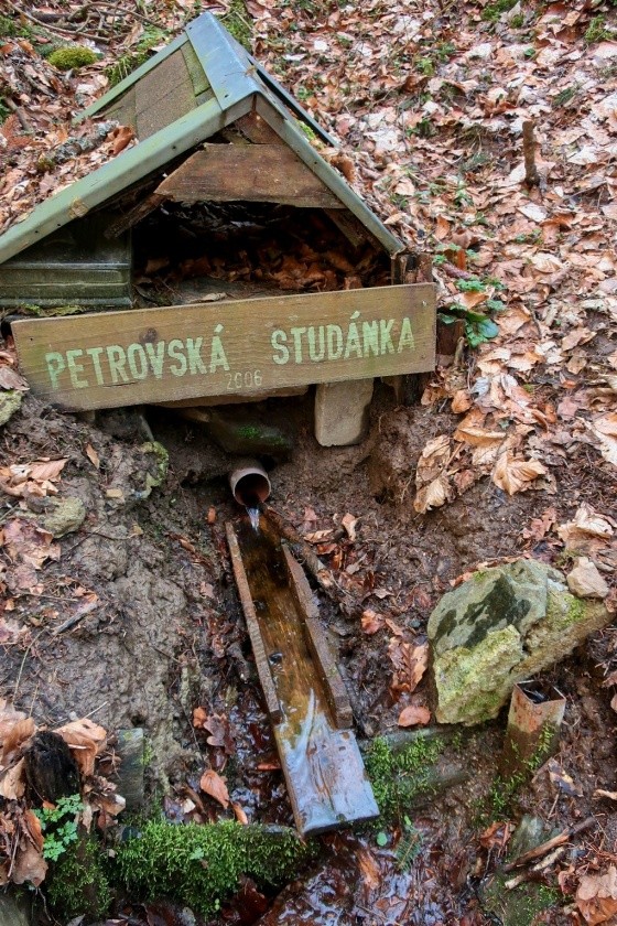 Petrovská studánka (9169) - březen 2023