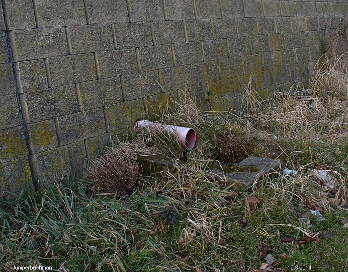 jiný vodní zdroj U Hladového kamene (9174) - říjen 2014