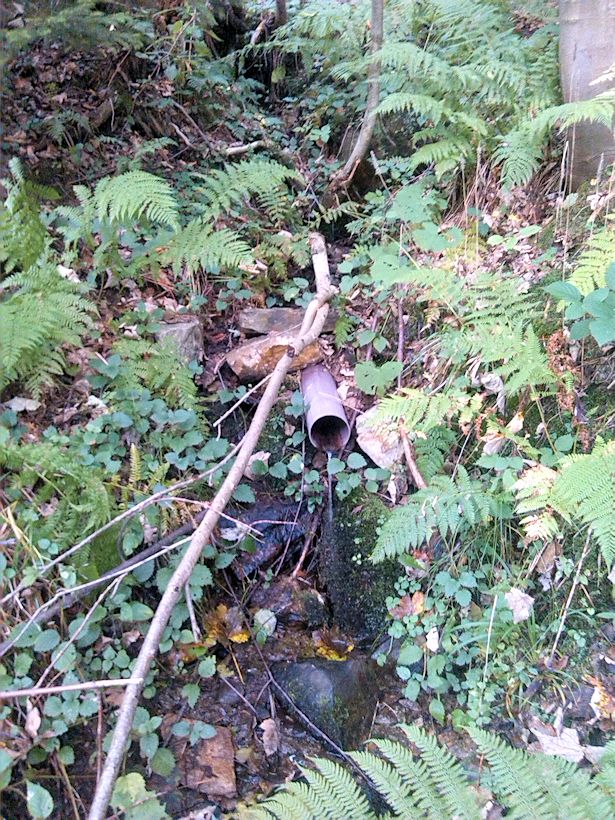 studánka Nad silnicí (9183) - říjen 2014