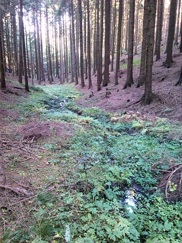 pramen V Pekelném dole I (9185) - říjen 2014