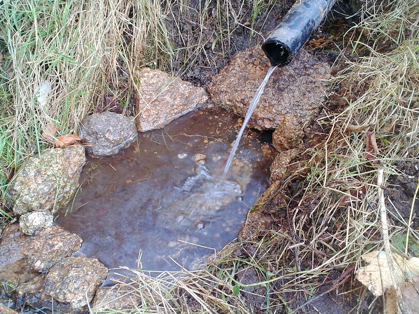 studánka U trati (9219) - říjen 2014