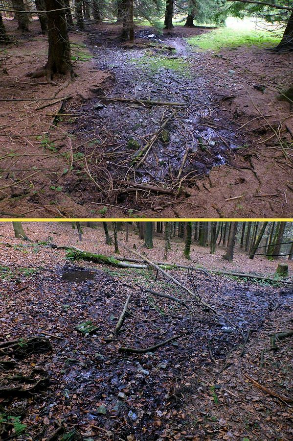 prameniště Nad Rovinou (9233) - říjen 2014