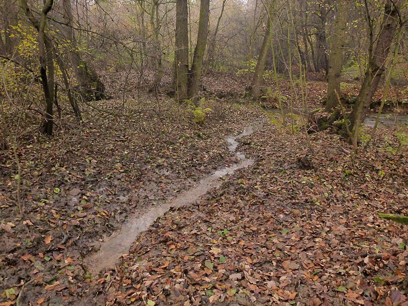pramen V údolí Březeneckého potoka (9261) - listopad 2014