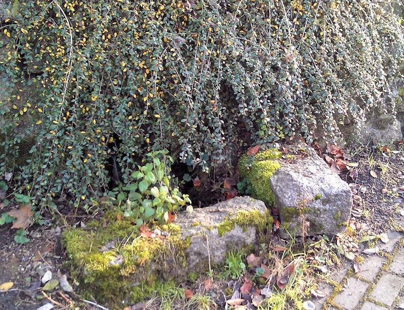 studánka bez jména (9272) - listopad 2014