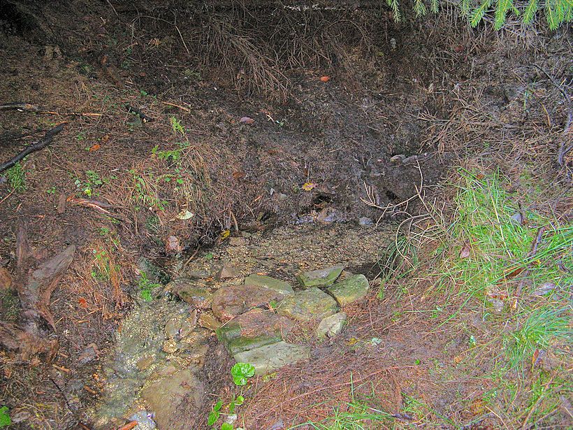 studánka bez jména (9286) - listopad 2014