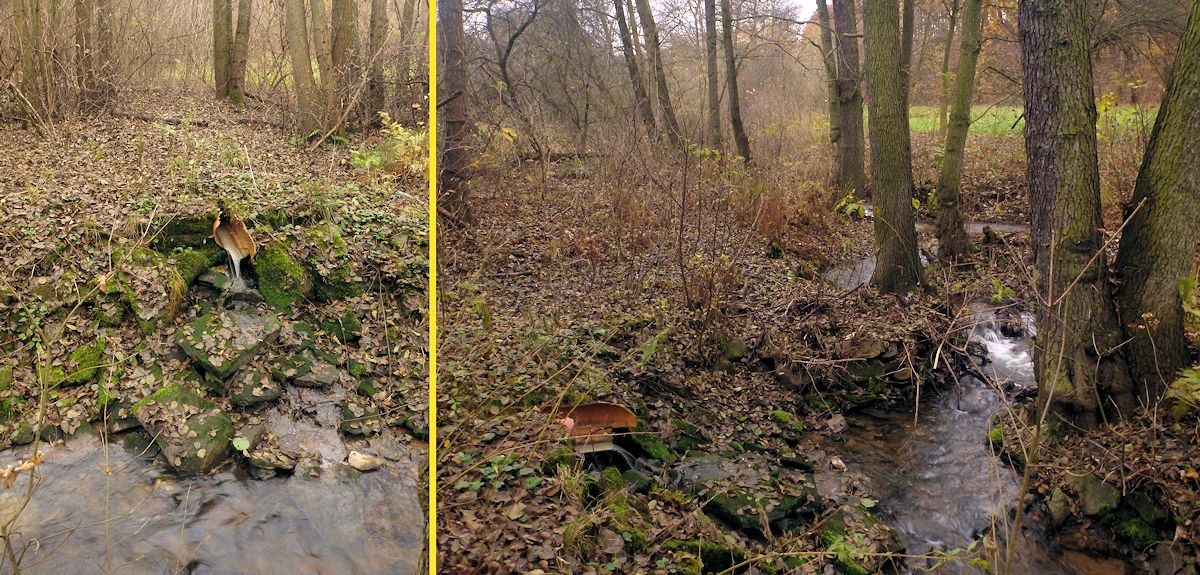 jiný vodní zdroj V údolí Březeneckého potoka 3 (9293) - listopad 2014