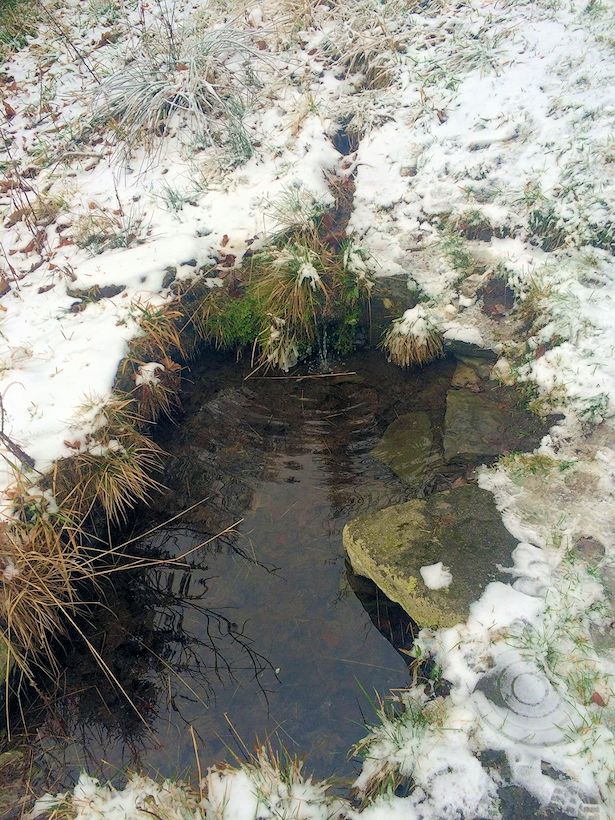 studánka Hubertka II (9325) - listopad 2014