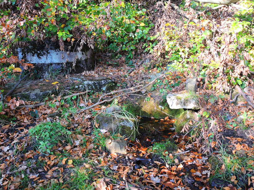 studánka Šerifka (9341) - říjen 2019