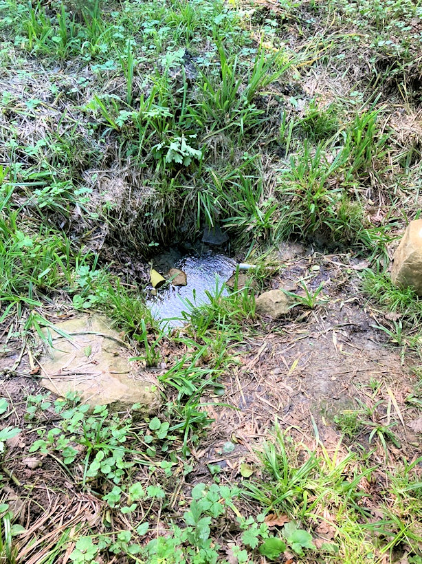 studánka U točny (9355) - datum neznámé