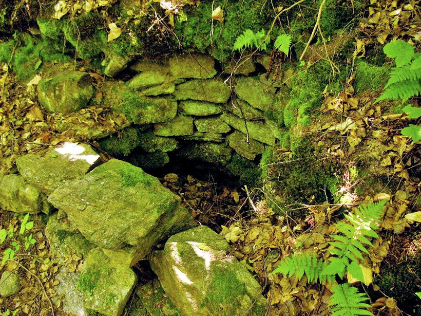 studánka Pod Býšovcem (9358) - prosinec 2014