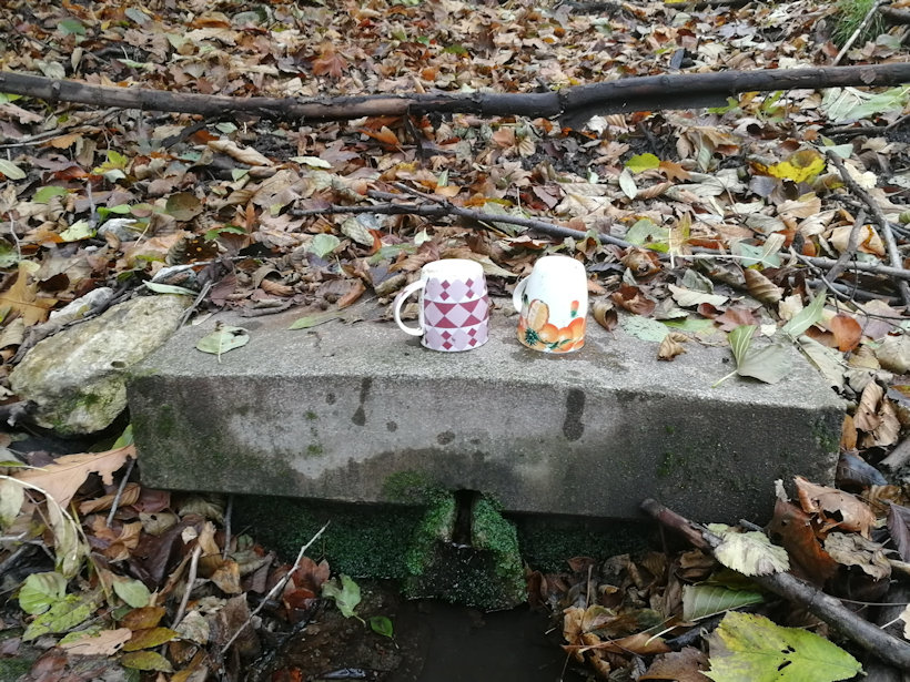 Zoubkova studánka (9367) - listopad 2019