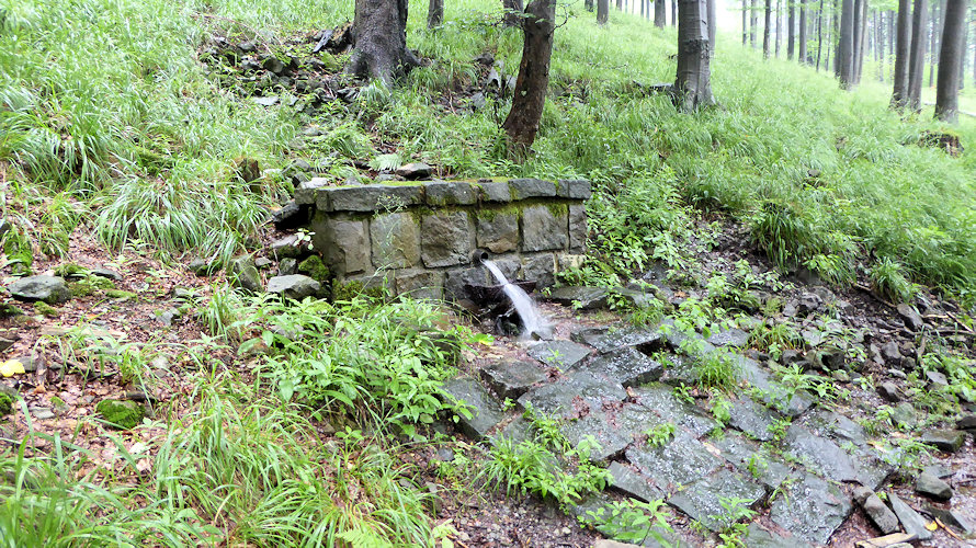 studánka Pod Kykulkou (9390) - leden 2015