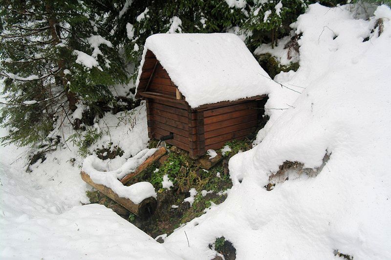 studánka bez jména (9398) - leden 2015