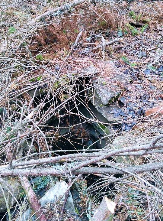 studánka Staroměstská lesní (9408) - datum neznámé