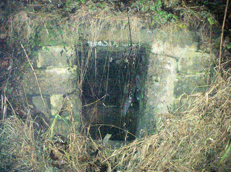 studánka Krásná (9426) - leden 2015