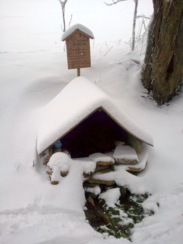 Honzova studánka (9433) - leden 2015