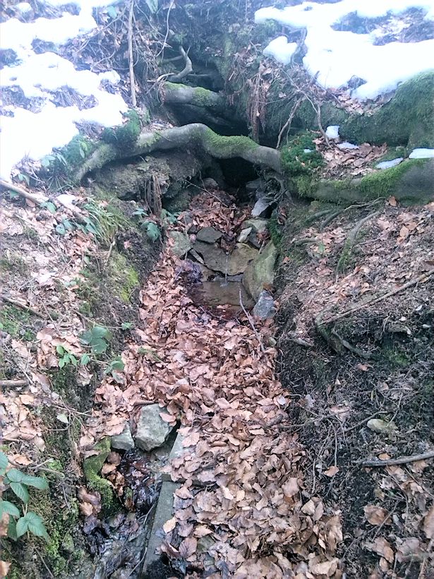 Vráťova studánka (9467) - únor 2015