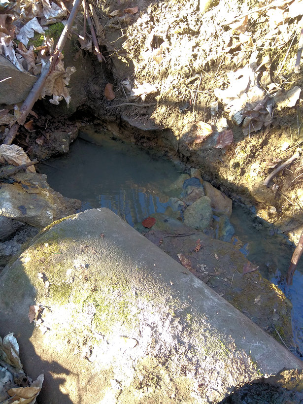 studánka Pod Obranicí (9468) - březen 2020