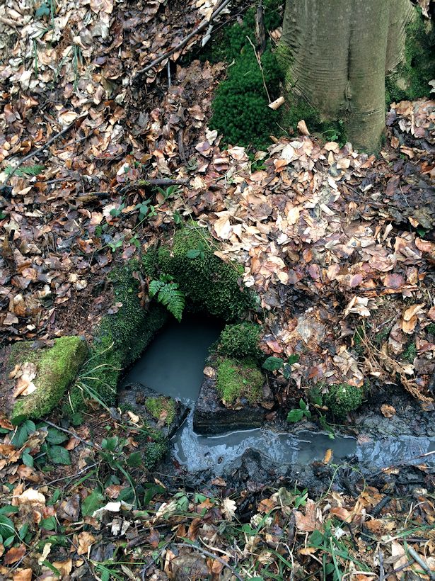 studánka Strachvicova (9485) - březen 2015